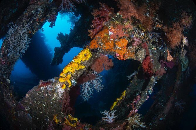 7 Fun Dives in Tulamben (for certified divers) - Premium Value Package - Considerations and Tips