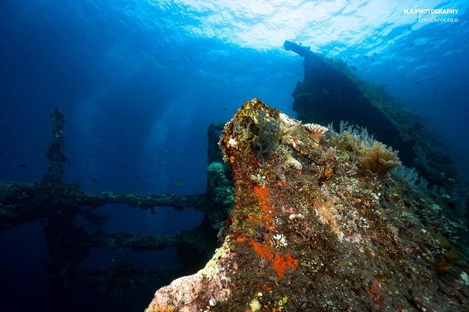 7 Fun Dives in Tulamben (for certified divers) - Premium Value Package - Pricing and Value Analysis
