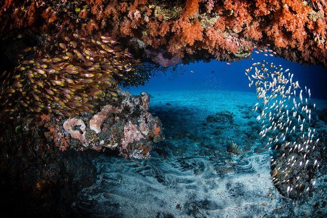 7 Fun Dives in Tulamben (for certified divers) - Premium Value Package - Final Thoughts