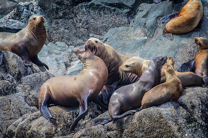 7 Hour Big Animal Encounter - The Itinerary in Detail