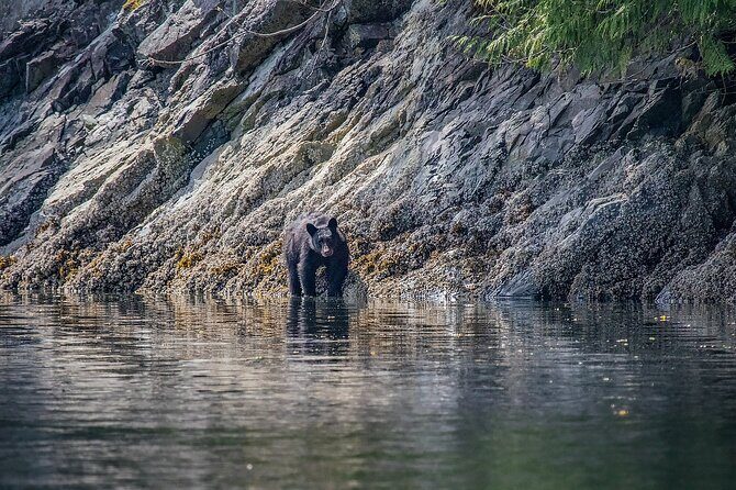 7 Hour Big Animal Encounter - FAQs