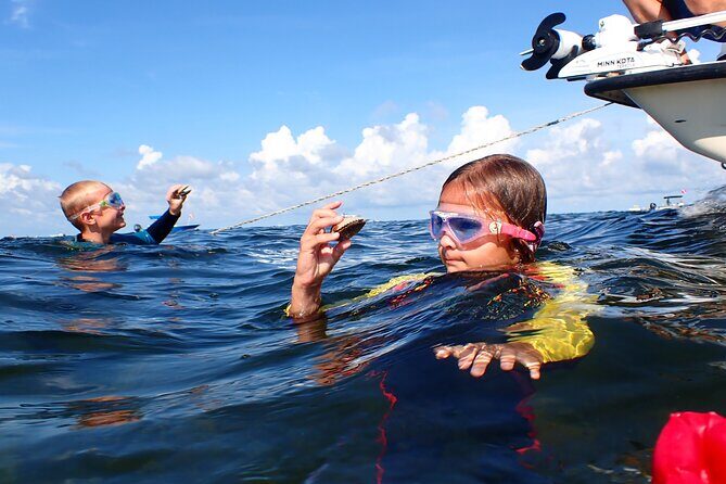 7 Hour Private Scalloping Package in Mangrove Point - The Experience for Different Travelers