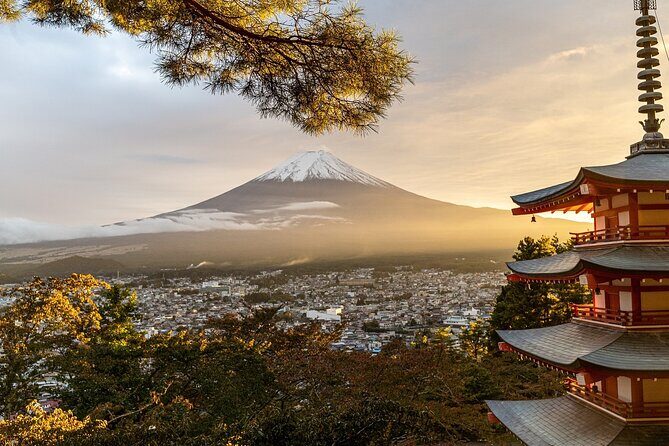 7 Hour Private Tour of Tokyo - What to Expect from the 7-Hour Private Tokyo Tour