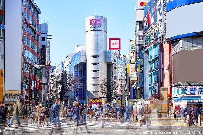 7 Hour Private Tour of Tokyo - Practical Details