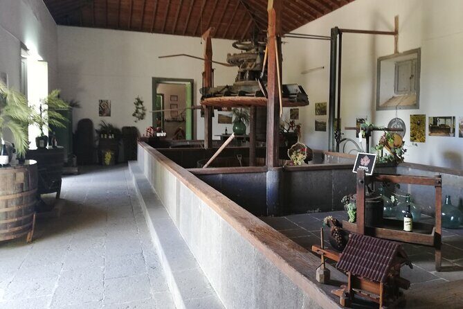 7-Hours Private Tour Volcanoes and Wine Region in the Canary Islands - FAQ