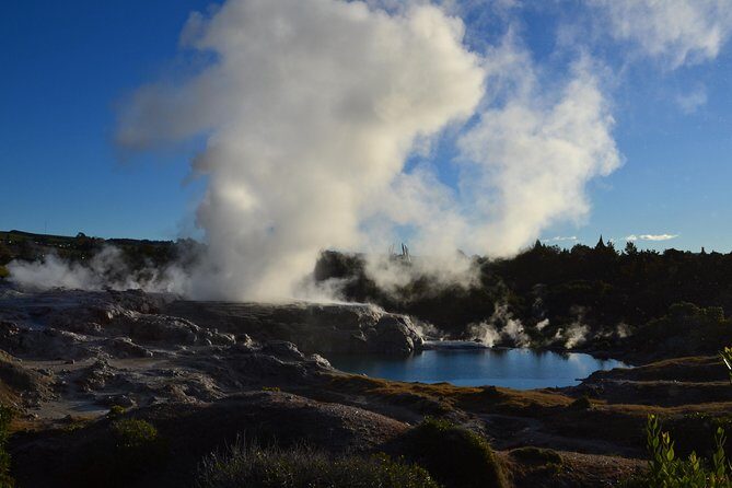 7 Hours Te Puia Rotorua Tour from Tauranga with Concert - Key Points