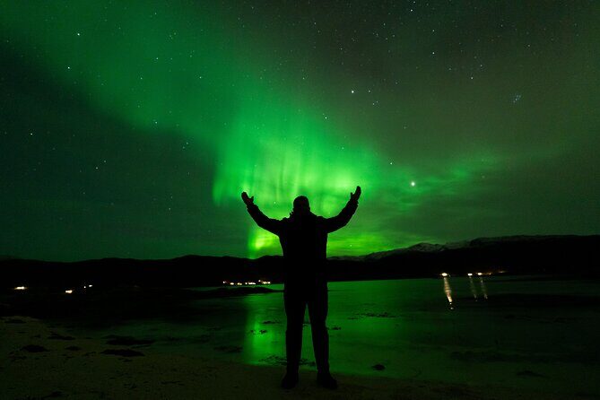 7 hours Tromsø Aurora Tour: Photos, snacks & warm drinks included - Key Points