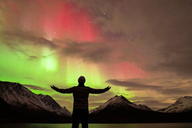 7 hours Tromsø Aurora Tour: Photos, snacks & warm drinks included - In-Depth Review of the Tromsø Aurora Tour
