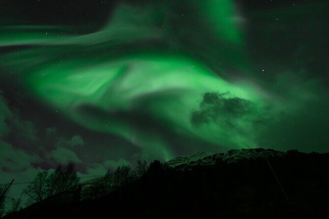 7 hours Tromsø Aurora Tour: Photos, snacks & warm drinks included - Final Thoughts