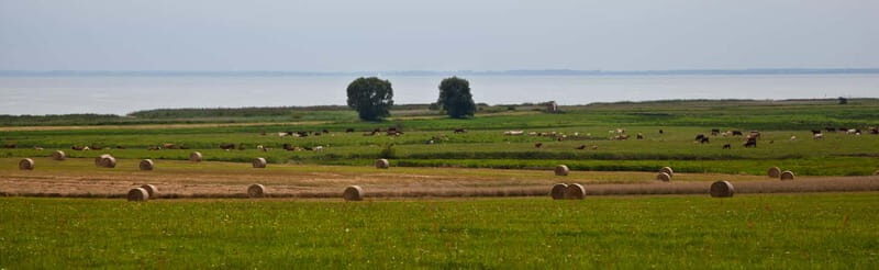 7-lake tour: nature & enjoyment on Usedom - The Experience: What You Can Expect