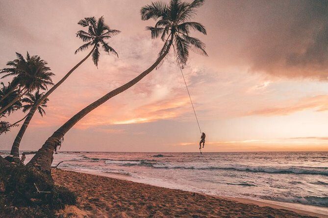 7 Nights Private Tour Of Sri Lanka - What Makes This Tour Stand Out?