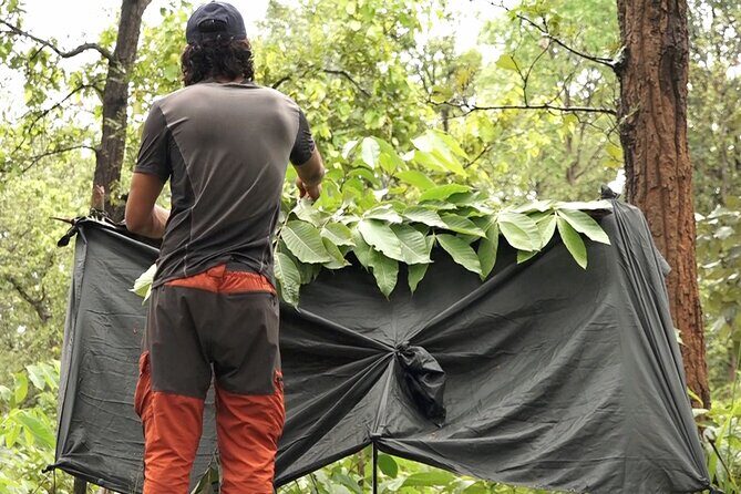 72 Hours Jungle Survival Learn to Thrive - Discover the 72 Hours Jungle Survival Learn to Thrive Course