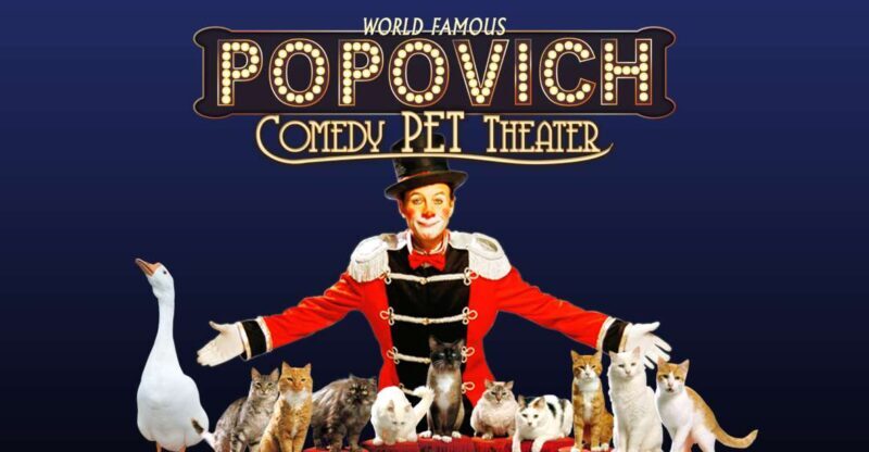 75-Minute Popovich Comedy Pet Theater in Las Vegas - Why This Show Will Appeal to You