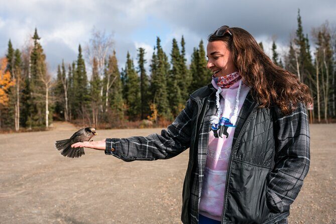 8-12 Hour Private Arctic Circle Experience in Alaska with Lunch - Who Will Love This Tour?