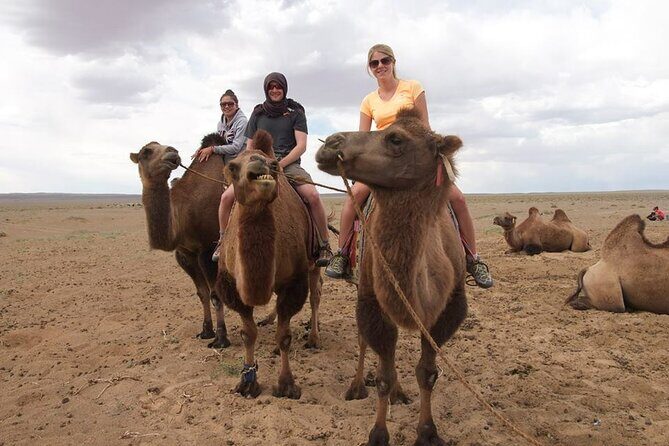 8 Day Great Gobi and Central Mongolia - Key Points