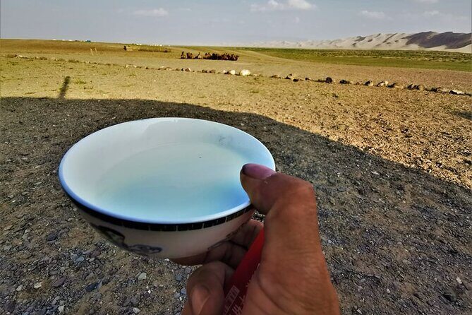 8 Day Great Gobi and Central Mongolia - FAQs