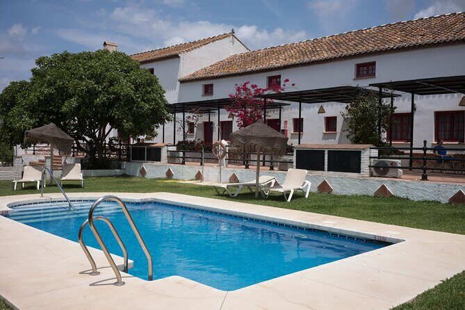 8 Day Guided Cycling and Walking Tour of Andalusia, Spain - Key Points