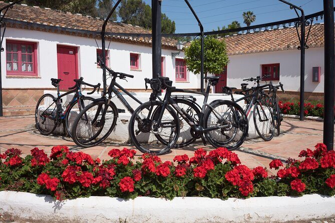 8 Day Guided Cycling and Walking Tour of Andalusia, Spain - Frequently Asked Questions
