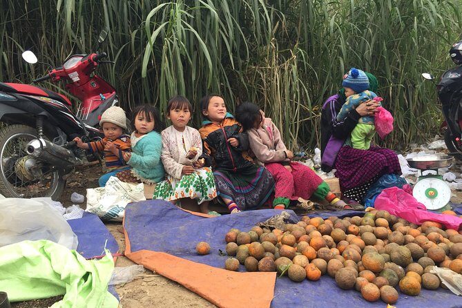 8-Day Off The Beaten Path In North Vietnam - Authentic Experiences & Genuine Insights from Past Travelers