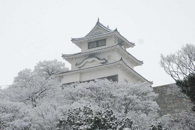 8 Day Private One Way Bus Tour to Fukuoka from Osaka - Practical Considerations and Value