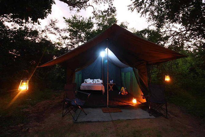 8 Day Private Tour Sri Lanka with Wildlife & Outdoor Experiences from Colombo - Key Points