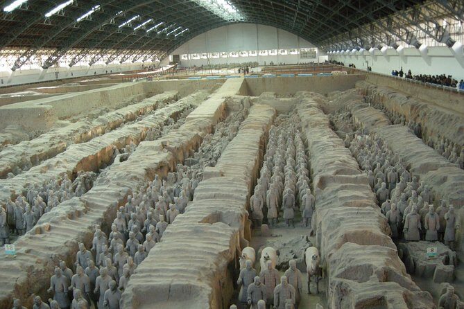 8-Day Private Tour to Shanghai,Chengdu,Xi'an and Beijing - Who This Tour Is Perfect For