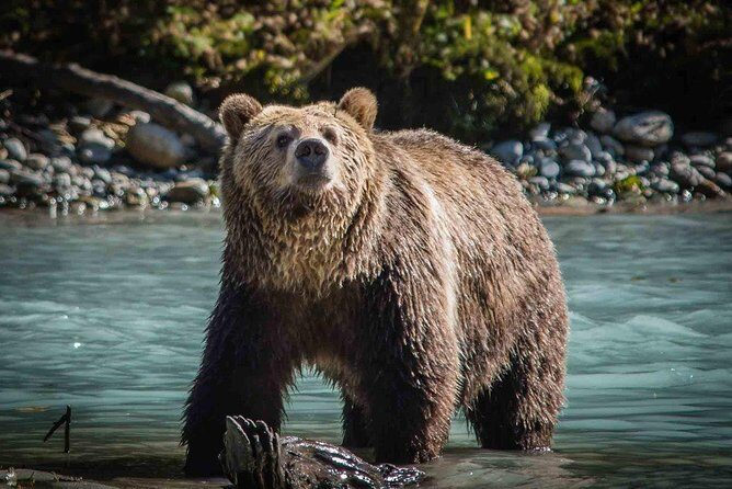 8 Day Private Tour Unpacked Western Canada in English or German - Who Would Love This Tour?