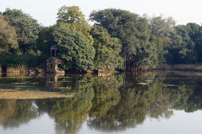 8-Day Private Transport for Golden Triangle Tour With Ranthambore - Final Thoughts