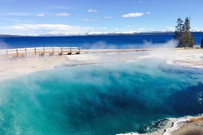 8 Day Tour Los Angeles, Las Vegas, Yellowstone and Grand Teton - Who Is This Tour Best For?