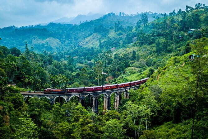 8 Days/ 7 Nights - Sri Lankas Culture Wildlife and Beaches - Who Is This Tour Best For?
