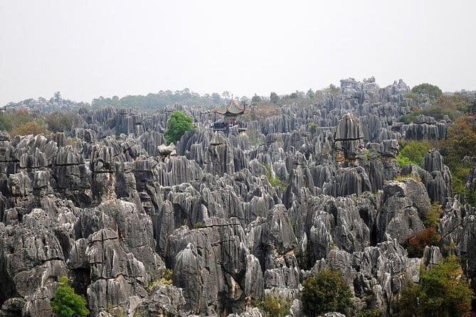 8 Days Classic Tour of Yunnan - Exploring Yunnan: An In-Depth Look