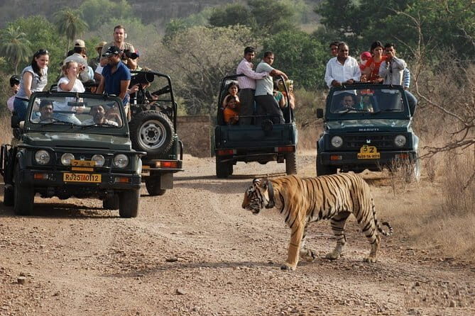 8 Days Golden Triangle with Ranthambore & Udaipur Tour - An In-Depth Look at the Tour