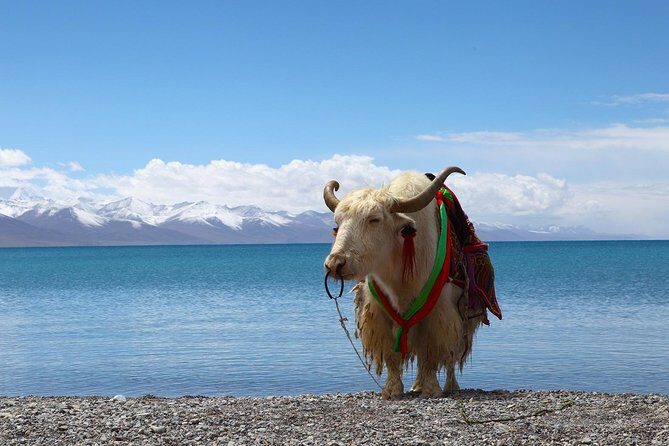 8-Days Heavenly Himalayas- LEH-LADAKH - What Makes This Tour Stand Out