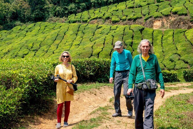 8 Days Kerala Private Tour Covering Kochi- Munnar- Periyar- Alleppey and Kovalam - A Deep Dive into the 8-Day Kerala Tour