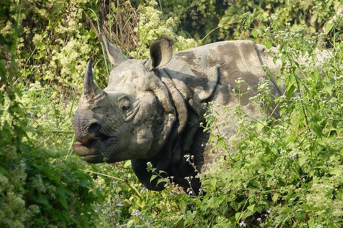 8 Days Luxury Nepal Tour - Who Is This Tour Best For?