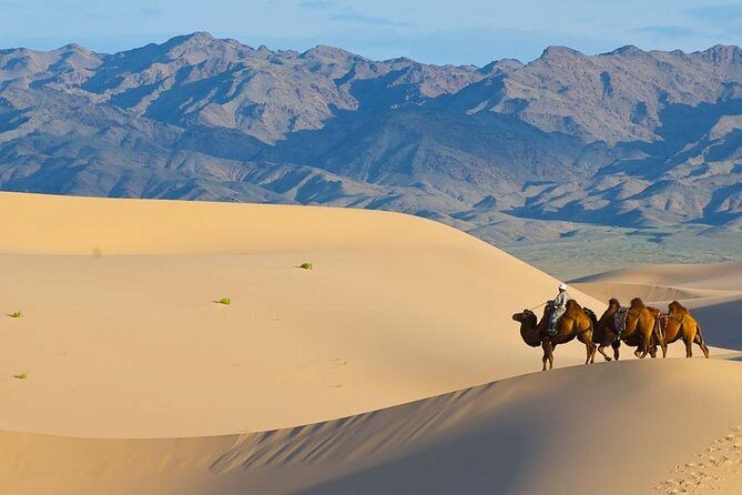 8 Days Naadam Festival and Gobi Desert - Day 5: Khongor Sand Dunes—Singing Dunes