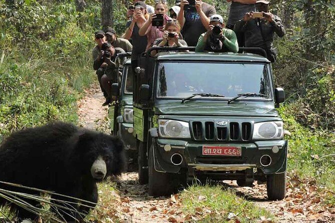 8 Days Nepal Tour (Kathmandu, Pokhara, and Chitwan Tour) - Introduction: What This Tour Offers