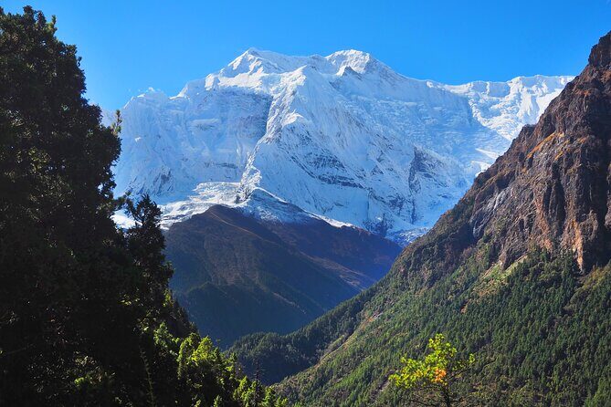8 Days Private Guided Trekking in Annapurna Circuit with Pickup - Who Should Consider This Tour?