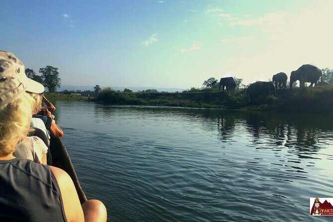 8-Days Private kathmandu Chitwan and Pokhara City tour - A Detailed Look at the 8-Day Nepal Tour