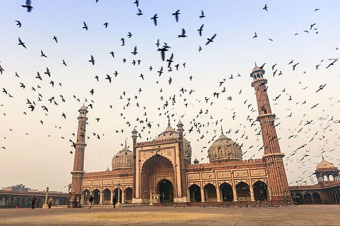 8 Days Private Luxury Tour of Taj Mahal & Palaces of India - Timeless Royalty - What We Loved About the Tour