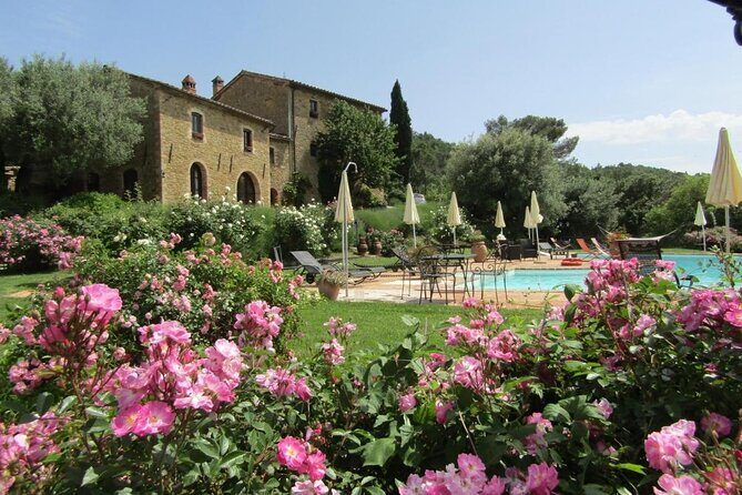 8 Days Private Tour Tuscany & Umbria Best Flavours - A Deep Dive into the Tuscany & Umbria Experience