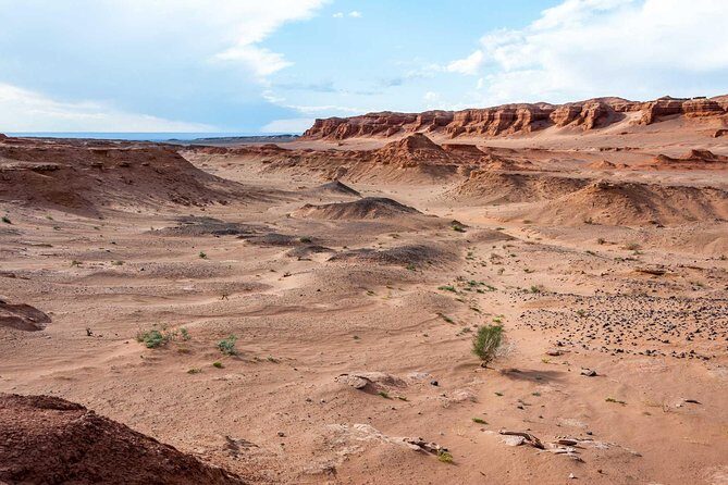 8 Days Tour: Gobi Desert And Kharkhorin - Who Is This Tour Best For?
