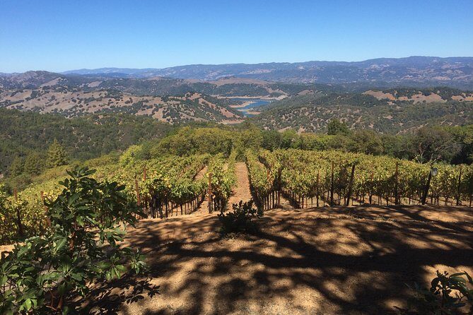 8-Hour Exclusive Wine Tour Experience for up to 6 Guests / Napa-Sonoma - Final Thoughts