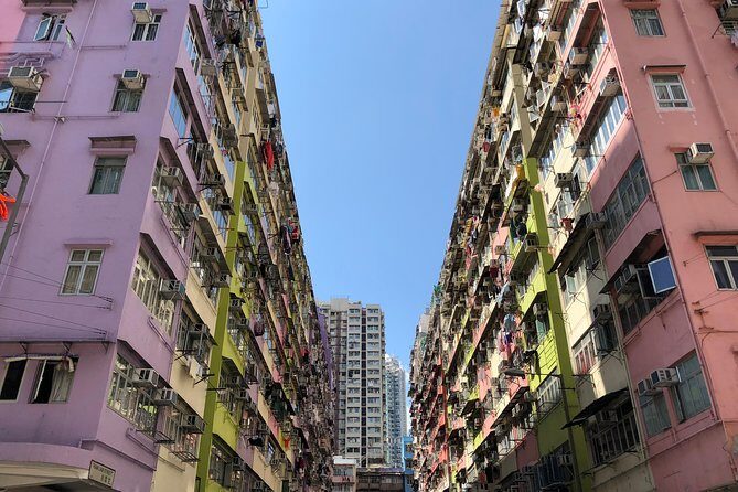 8-Hour Private Hong Kong Layover Tour - Who Would Love This Tour?