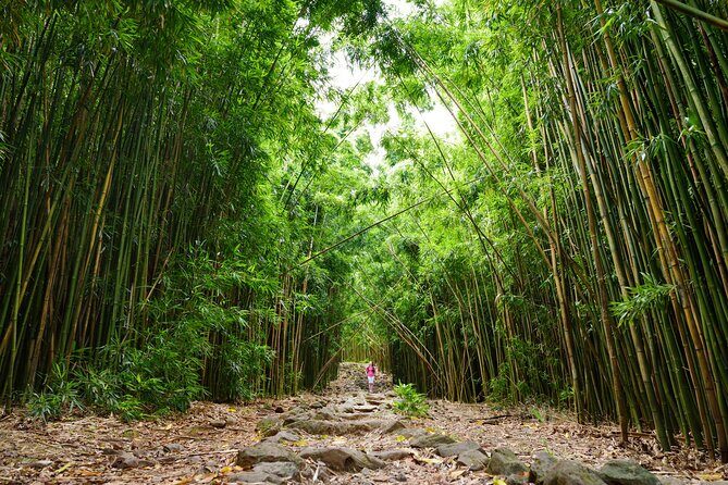 8 Hour Private Jungle Waterfall Tour from Maui - Final Thoughts
