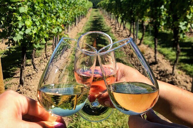 8-Hour Private Limousine Wine Country Tour of Napa or Sonoma - FAQ