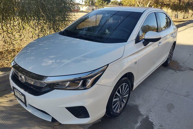 8 Hour Private Tour in the Guadalupe Valley 1-4 Passengers - Key Points