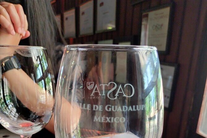 8 Hour Private Tour in the Guadalupe Valley 1-4 Passengers - An In-Depth Look at the Guadalupe Valley Private Tour