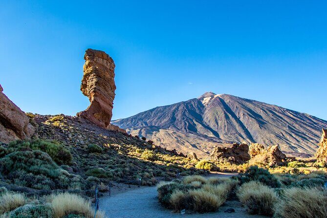 8-Hour Rental in a Luxury Car and Driver/Official Private Guide in Tenerife - FAQ