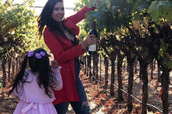8 Hours 12 Passengers limo bus for Napa or Sonoma wine tour - Introduction to the Napa & Sonoma Private Wine Tour